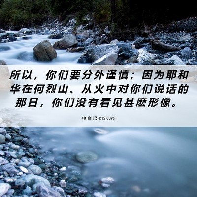 Picture 06 - 申 命 记 4:15 CUVS - 所 以 ， 你 们 要 分 外 谨 慎 ； 因 - Bible Verse Picture
