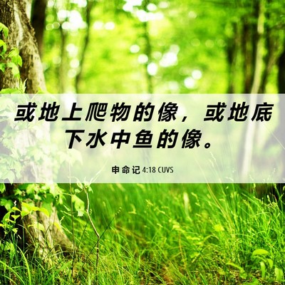 Picture 06 - 申 命 记 4:18 CUVS - 或 地 上 爬 物 的 像 ， 或 地 底 下 - Bible Verse Picture