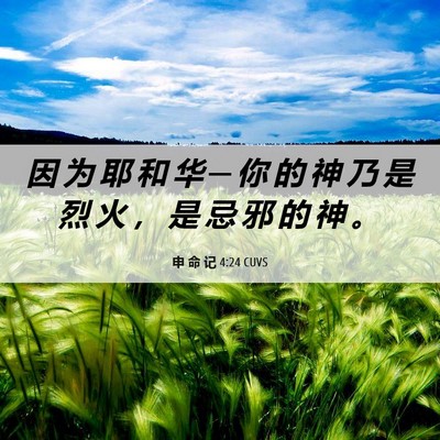 Picture 06 - 申 命 记 4:24 CUVS - 因 为 耶 和 华 ─ 你 的 神 乃 是 烈 - Bible Verse Picture