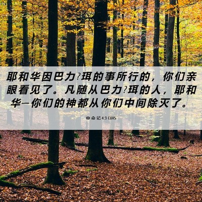Picture 06 - 申 命 记 4:3 CUVS - 耶 和 华 因 巴 力 ? 珥 的 事 所 行 的 - Bible Verse Picture