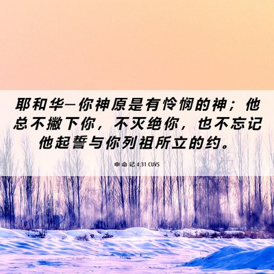Picture 06 - 申 命 记 4:31 CUVS - 耶 和 华 ─ 你 神 原 是 有 怜 悯 的 - Bible Verse Picture