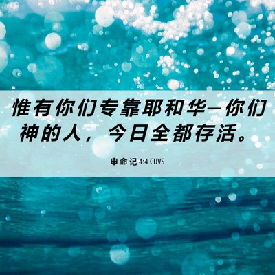 Picture 06 - 申 命 记 4:4 CUVS - 惟 有 你 们 专 靠 耶 和 华 ─ 你 们 - Bible Verse Picture