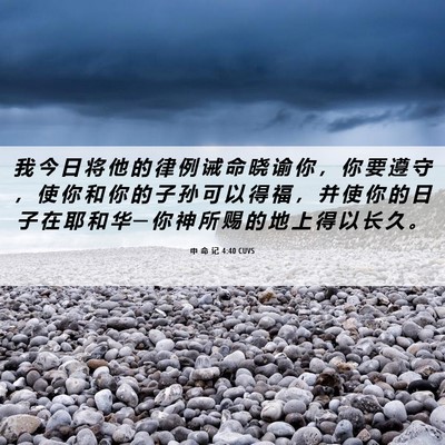 Picture 06 - 申 命 记 4:40 CUVS - 我 今 日 将 他 的 律 例 诫 命 晓 谕 - Bible Verse Picture