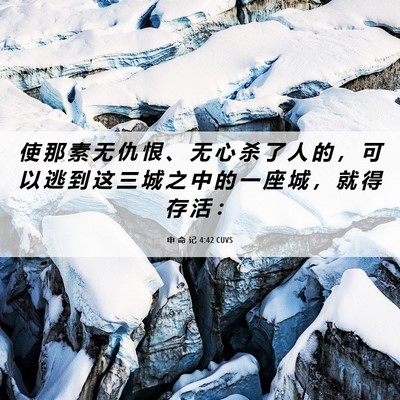 Picture 06 - 申 命 记 4:42 CUVS - 使 那 素 无 仇 恨 、 无 心 杀 了 人 - Bible Verse Picture