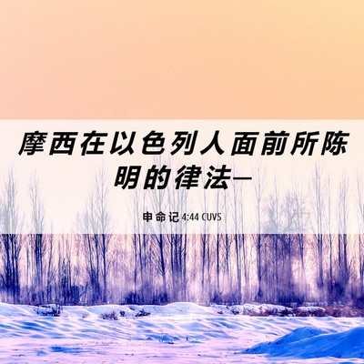 Picture 06 - 申 命 记 4:44 CUVS - 摩 西 在 以 色 列 人 面 前 所 陈 明 - Bible Verse Picture