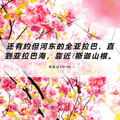Picture 06 - 申 命 记 4:49 CUVS - 还 有 约 但 河 东 的 全 亚 拉 巴 ， - Bible Verse Picture