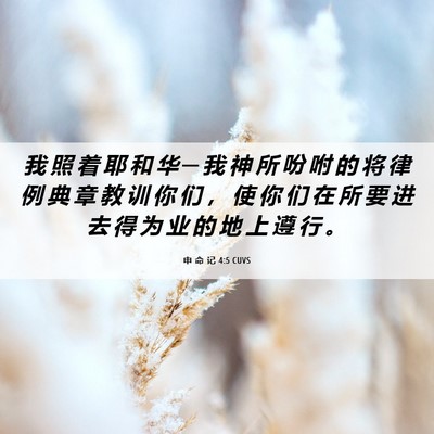 Picture 06 - 申 命 记 4:5 CUVS - 我 照 着 耶 和 华 ─ 我 神 所 吩 咐 - Bible Verse Picture