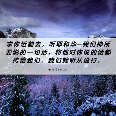 Picture 06 - 申 命 记 5:27 CUVS - 求 你 近 前 去 ， 听 耶 和 华 ─ 我 - Bible Verse Picture