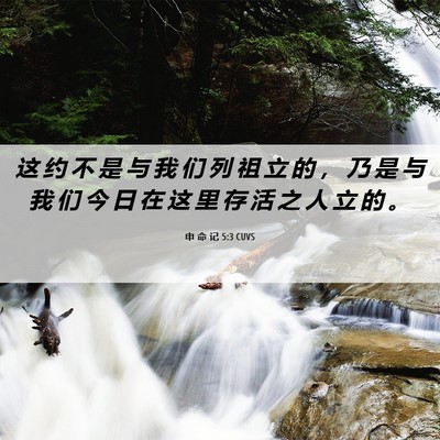 Picture 06 - 申 命 记 5:3 CUVS - 这 约 不 是 与 我 们 列 祖 立 的 ， - Bible Verse Picture