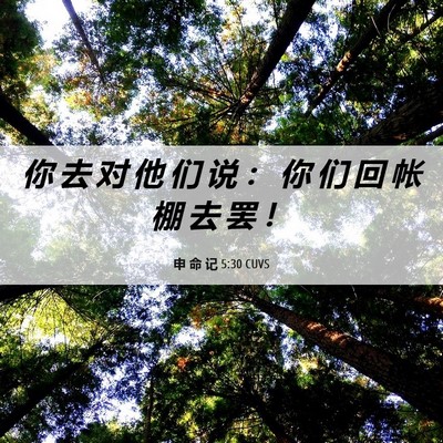 Picture 06 - 申 命 记 5:30 CUVS - 你 去 对 他 们 说 ： 你 们 回 帐 棚 - Bible Verse Picture