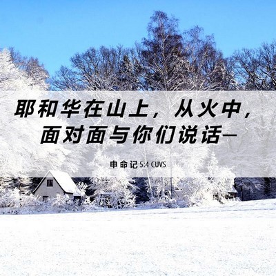Picture 06 - 申 命 记 5:4 CUVS - 耶 和 华 在 山 上 ， 从 火 中 ， 面 - Bible Verse Picture