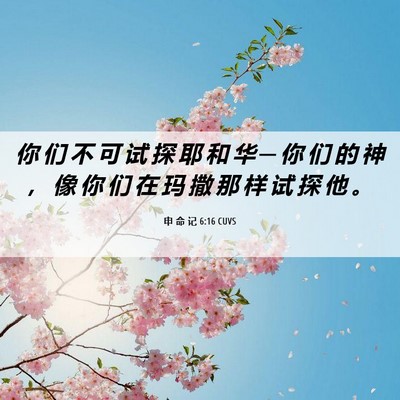 Picture 06 - 申 命 记 6:16 CUVS - 你 们 不 可 试 探 耶 和 华 ─ 你 们 - Bible Verse Picture
