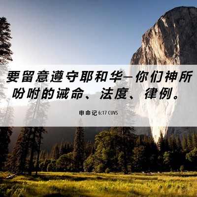 Picture 06 - 申 命 记 6:17 CUVS - 要 留 意 遵 守 耶 和 华 ─ 你 们 神 - Bible Verse Picture