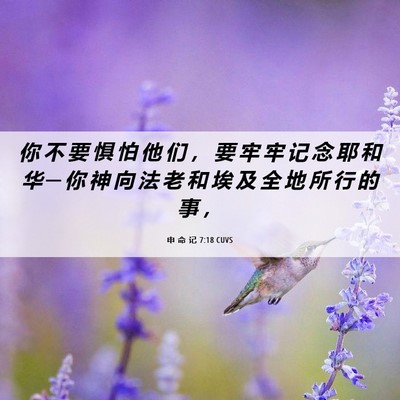 Picture 06 - 申 命 记 7:18 CUVS - 你 不 要 惧 怕 他 们 ， 要 牢 牢 记 - Bible Verse Picture