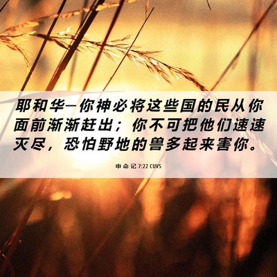 Picture 06 - 申 命 记 7:22 CUVS - 耶 和 华 ─ 你 神 必 将 这 些 国 的 - Bible Verse Picture