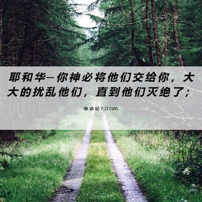 Picture 06 - 申 命 记 7:23 CUVS - 耶 和 华 ─ 你 神 必 将 他 们 交 给 - Bible Verse Picture