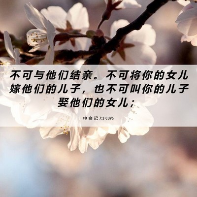 Picture 06 - 申 命 记 7:3 CUVS - 不 可 与 他 们 结 亲 。 不 可 将 你 - Bible Verse Picture