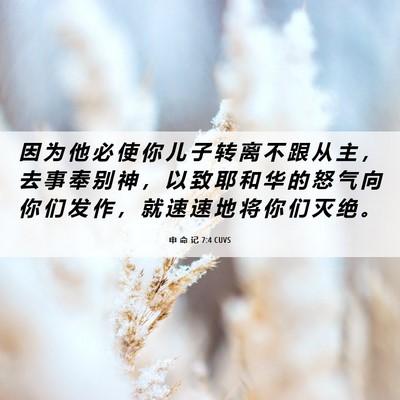 Picture 06 - 申 命 记 7:4 CUVS - 因 为 他 必 使 你 儿 子 转 离 不 跟 - Bible Verse Picture
