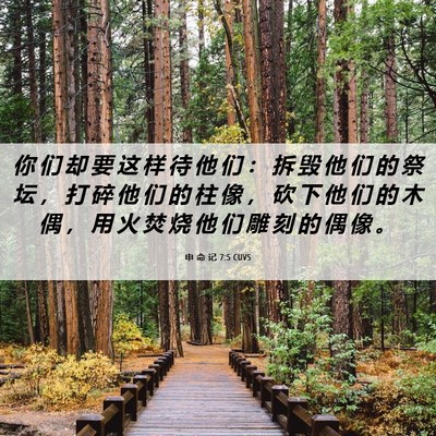 Picture 06 - 申 命 记 7:5 CUVS - 你 们 却 要 这 样 待 他 们 ： 拆 毁 - Bible Verse Picture