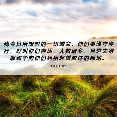 Picture 06 - 申 命 记 8:1 CUVS - 我 今 日 所 吩 咐 的 一 切 诫 命 ， - Bible Verse Picture