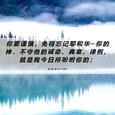 Picture 06 - 申 命 记 8:11 CUVS - 你 要 谨 慎 ， 免 得 忘 记 耶 和 华 - Bible Verse Picture