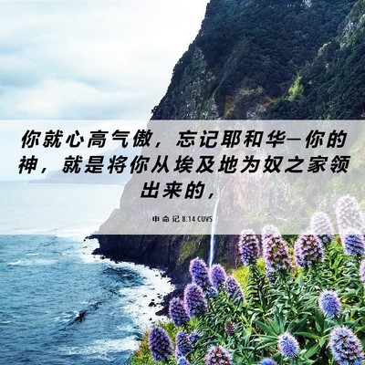 Picture 06 - 申 命 记 8:14 CUVS - 你 就 心 高 气 傲 ， 忘 记 耶 和 华 - Bible Verse Picture