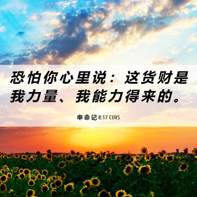 Picture 06 - 申 命 记 8:17 CUVS - 恐 怕 你 心 里 说 ： 这 货 财 是 我 - Bible Verse Picture