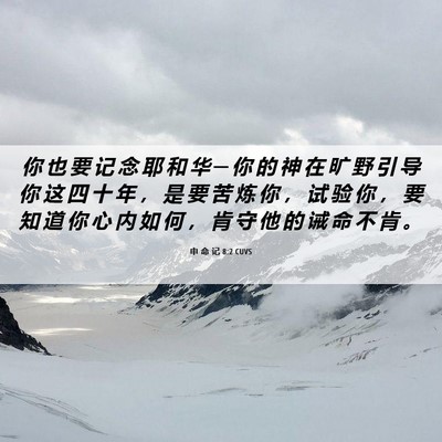 Picture 06 - 申 命 记 8:2 CUVS - 你 也 要 记 念 耶 和 华 ─ 你 的 神 - Bible Verse Picture