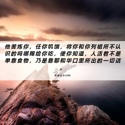 Picture 06 - 申 命 记 8:3 CUVS - 他 苦 炼 你 ， 任 你 饥 饿 ， 将 你 - Bible Verse Picture