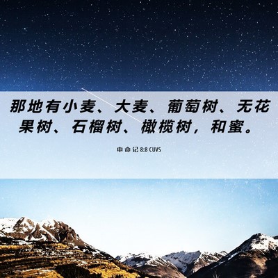Picture 06 - 申 命 记 8:8 CUVS - 那 地 有 小 麦 、 大 麦 、 葡 萄 树 - Bible Verse Picture