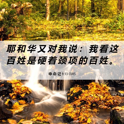 Picture 06 - 申 命 记 9:13 CUVS - 耶 和 华 又 对 我 说 ： 我 看 这 百 - Bible Verse Picture