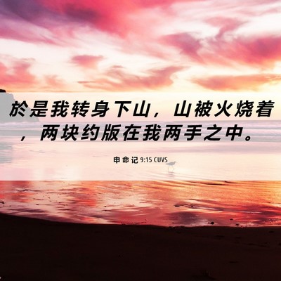 Picture 06 - 申 命 记 9:15 CUVS - 於 是 我 转 身 下 山 ， 山 被 火 烧 - Bible Verse Picture