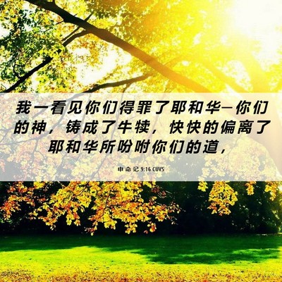 Picture 06 - 申 命 记 9:16 CUVS - 我 一 看 见 你 们 得 罪 了 耶 和 华 - Bible Verse Picture