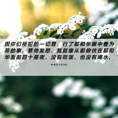 Picture 06 - 申 命 记 9:18 CUVS - 因 你 们 所 犯 的 一 切 罪 ， 行 了 - Bible Verse Picture