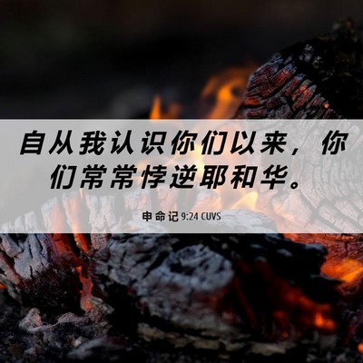 Picture 06 - 申 命 记 9:24 CUVS - 自 从 我 认 识 你 们 以 来 ， 你 们 - Bible Verse Picture