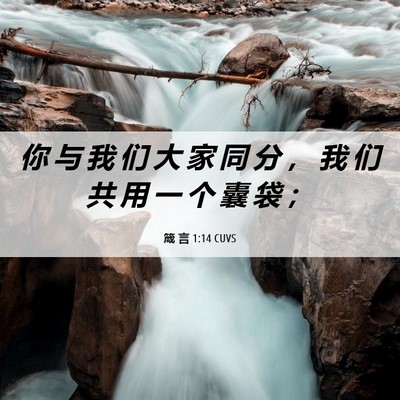Picture 06 - 箴 言 1:14 CUVS - 你 与 我 们 大 家 同 分 ， 我 们 共 - Bible Verse Picture
