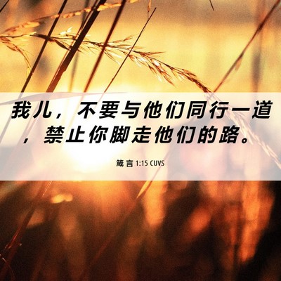 Picture 06 - 箴 言 1:15 CUVS - 我 儿 ， 不 要 与 他 们 同 行 一 道 - Bible Verse Picture