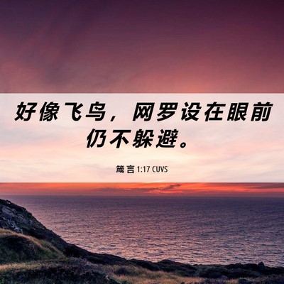 Picture 06 - 箴 言 1:17 CUVS - 好 像 飞 鸟 ， 网 罗 设 在 眼 前 仍 - Bible Verse Picture