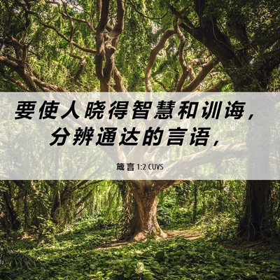 Picture 06 - 箴 言 1:2 CUVS - 要 使 人 晓 得 智 慧 和 训 诲 ， 分 - Bible Verse Picture
