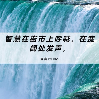 Picture 06 - 箴 言 1:20 CUVS - 智 慧 在 街 市 上 呼 喊 ， 在 宽 阔 - Bible Verse Picture