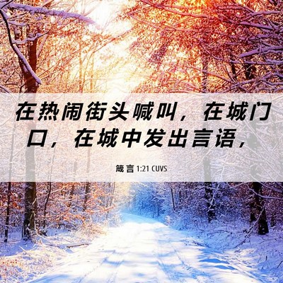 Picture 06 - 箴 言 1:21 CUVS - 在 热 闹 街 头 喊 叫 ， 在 城 门 口 - Bible Verse Picture