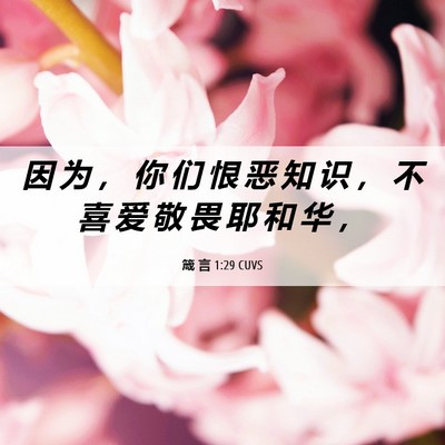 Picture 06 - 箴 言 1:29 CUVS - 因 为 ， 你 们 恨 恶 知 识 ， 不 喜 - Bible Verse Picture