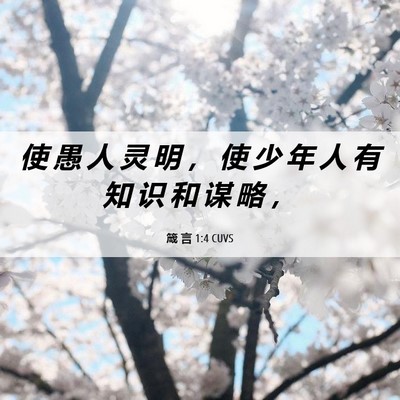 Picture 06 - 箴 言 1:4 CUVS - 使 愚 人 灵 明 ， 使 少 年 人 有 知 - Bible Verse Picture