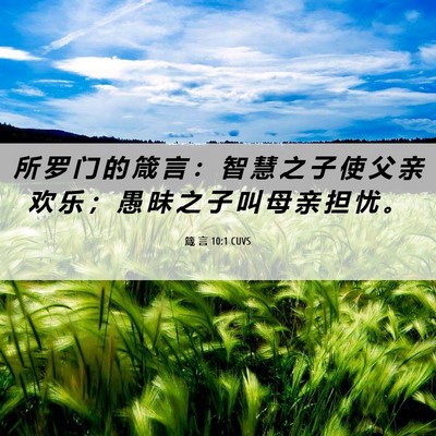 Picture 06 - 箴 言 10:1 CUVS - 所 罗 门 的 箴 言 ： 智 慧 之 子 使 - Bible Verse Picture