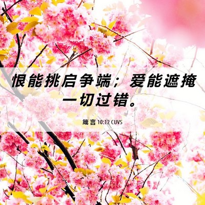 Picture 06 - 箴 言 10:12 CUVS - 恨 能 挑 启 争 端 ； 爱 能 遮 掩 一 - Bible Verse Picture