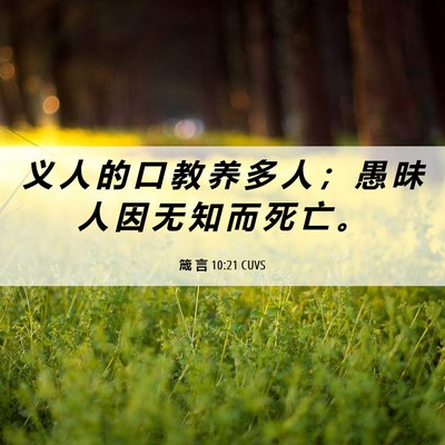 Picture 06 - 箴 言 10:21 CUVS - 义 人 的 口 教 养 多 人 ； 愚 昧 人 - Bible Verse Picture