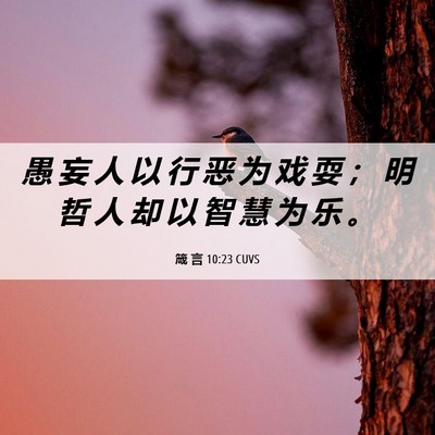 Picture 06 - 箴 言 10:23 CUVS - 愚 妄 人 以 行 恶 为 戏 耍 ； 明 哲 - Bible Verse Picture
