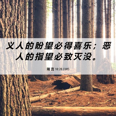 Picture 06 - 箴 言 10:28 CUVS - 义 人 的 盼 望 必 得 喜 乐 ； 恶 人 - Bible Verse Picture
