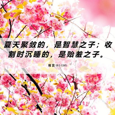 Picture 06 - 箴 言 10:5 CUVS - 夏 天 聚 敛 的 ， 是 智 慧 之 子 ； - Bible Verse Picture