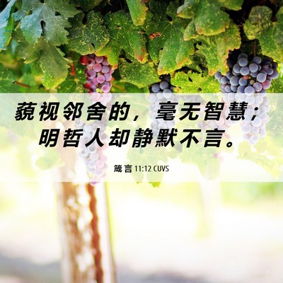 Picture 06 - 箴 言 11:12 CUVS - 藐 视 邻 舍 的 ， 毫 无 智 慧 ； 明 - Bible Verse Picture